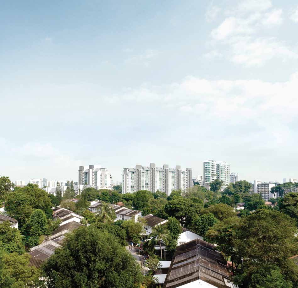 The Holland neighbourhood